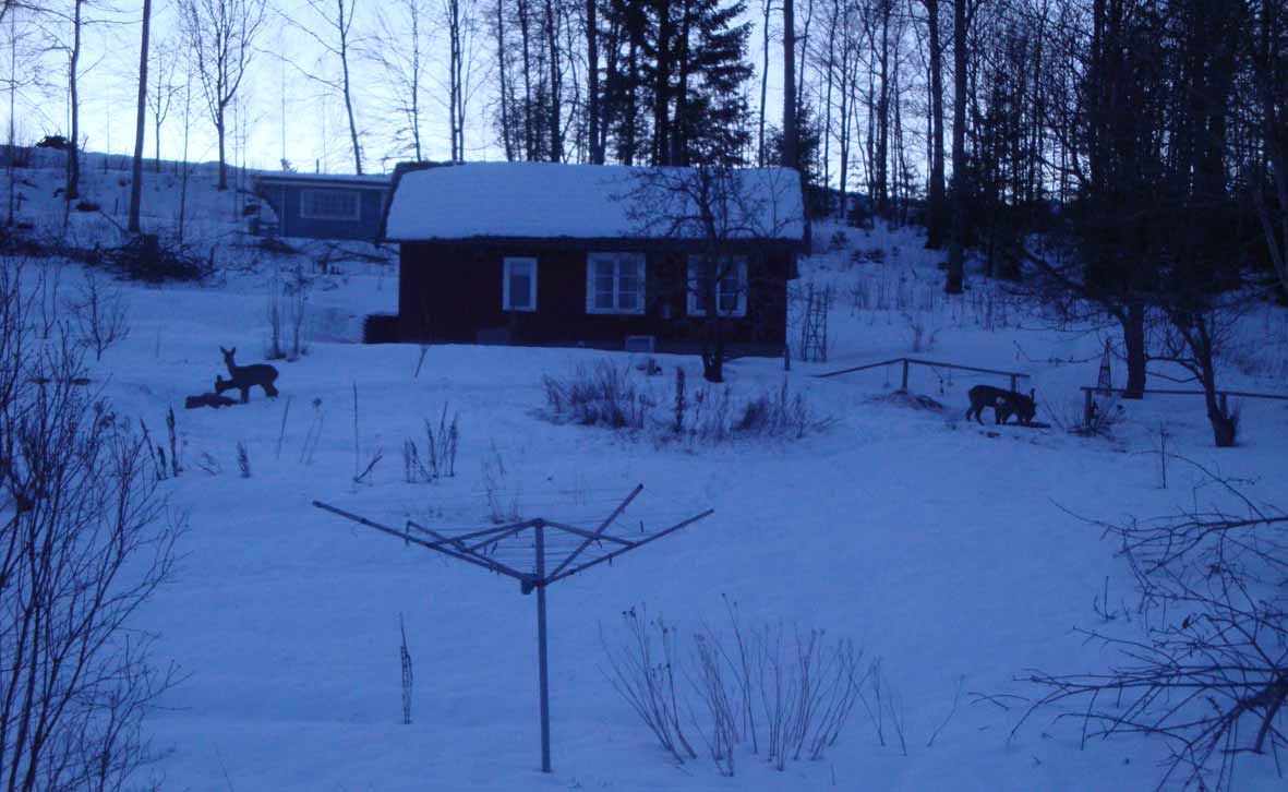Bild1