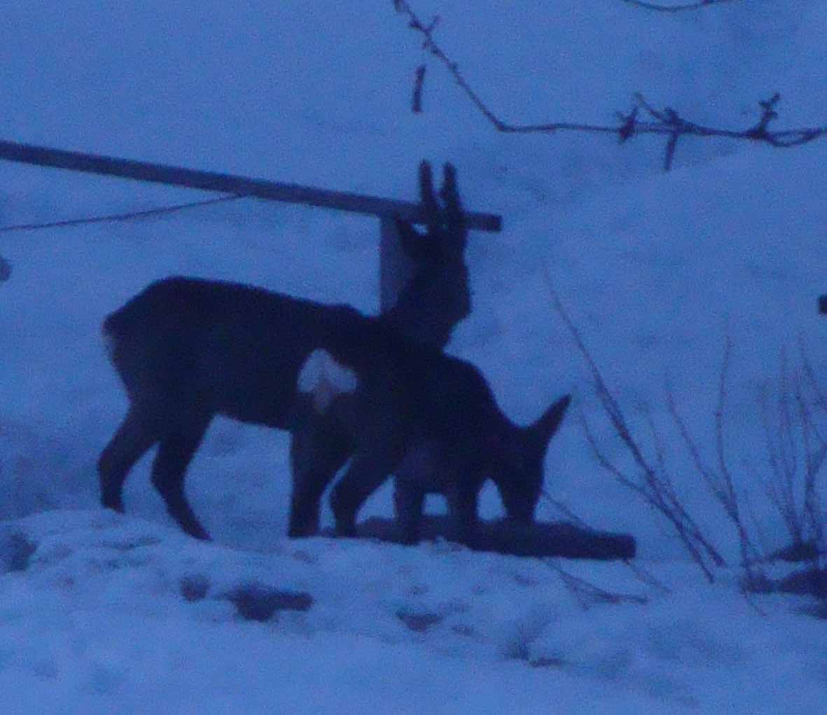 Bild2