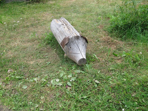 griseknoen