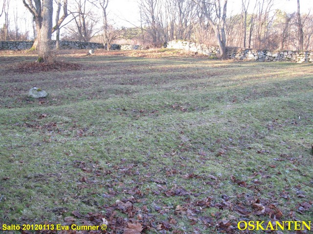 p00000130.jpg