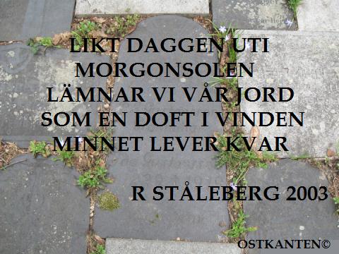 Likr daggen uti morgonsolen