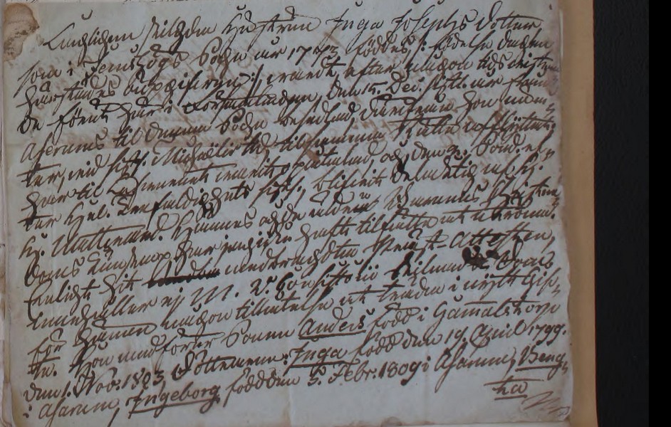 Asarum-HII-3-1812-1815-Bild-2960