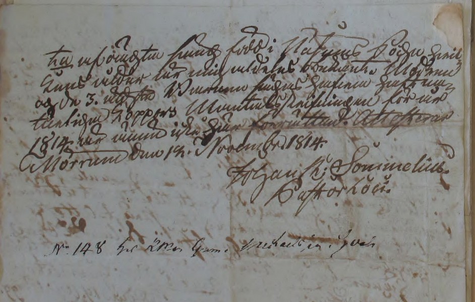 Asarum-HII-3-1812-1815-Bild-2970